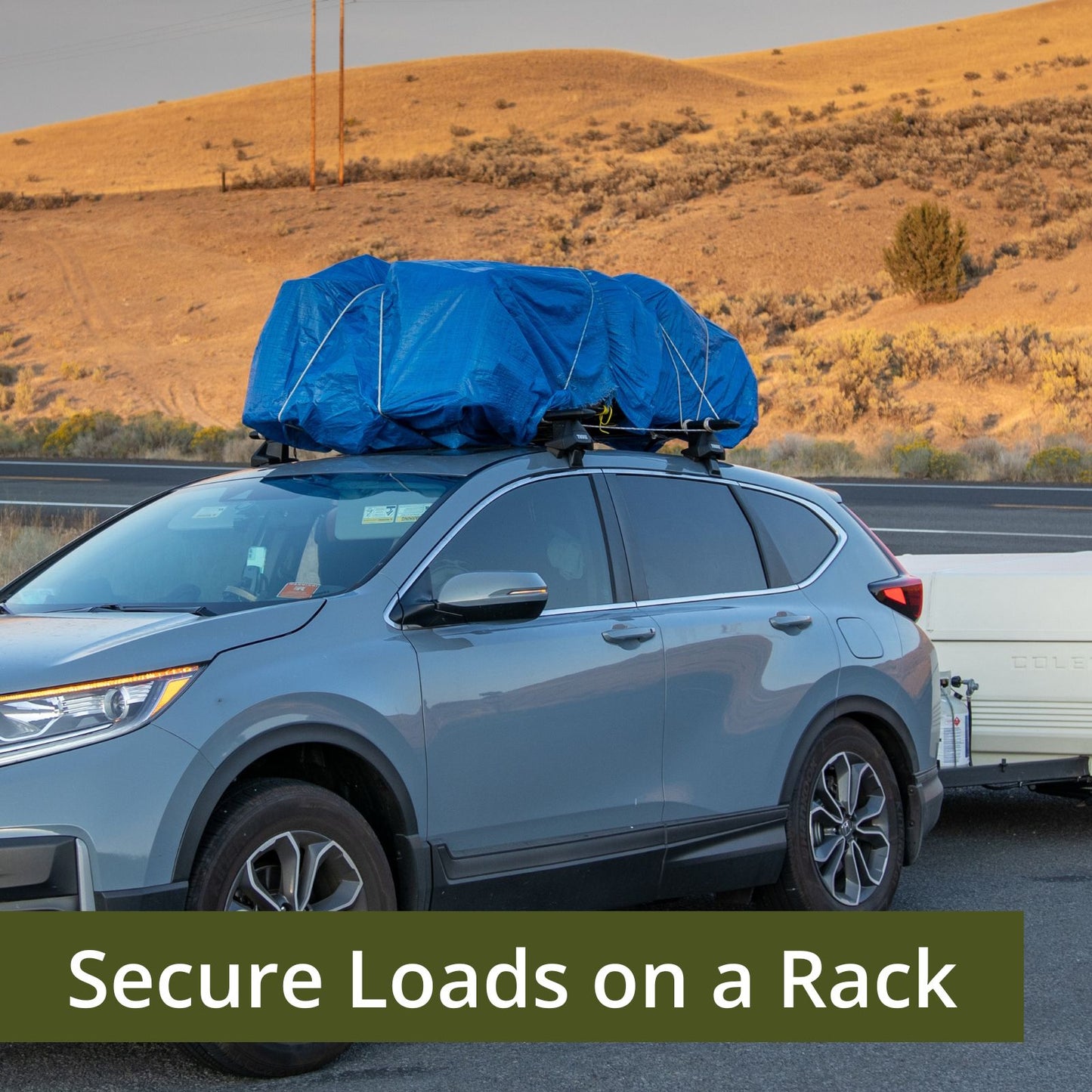 10-Pack Bungee Cord with Carabiner-Khaki